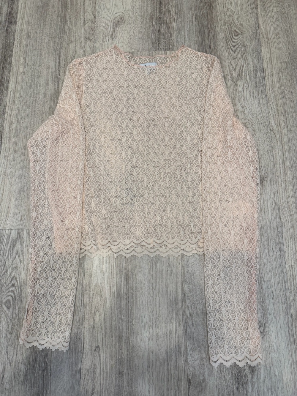 Petal Dew XL Blush Pink Floral Lace Long Sleeve Top NWOT
